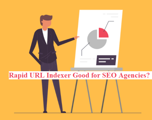 Rapid URL Indexer Good for SEO Agencies?